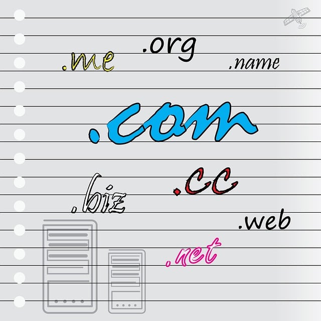 dominios internet