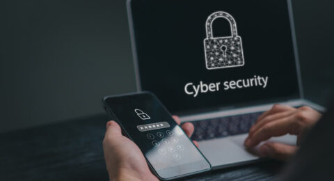 ciberseguridad wordpress